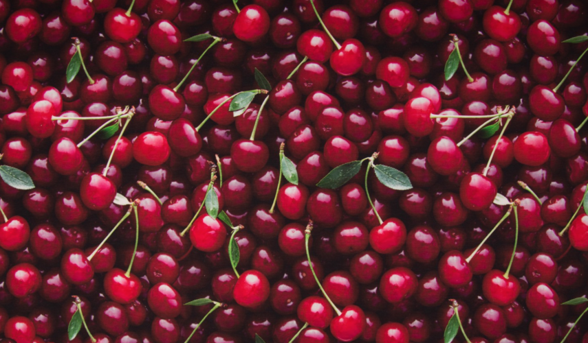 Jersey BIG CHERRIES